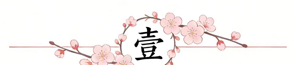 波波维奇仍助力马刺总决生死战